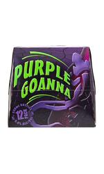 image of Purple Goanna 12 pk Bottles 5% 275ml