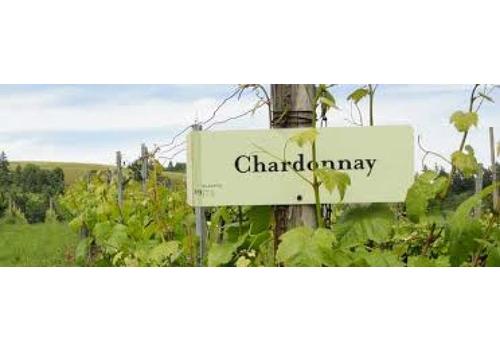 image of Chardonnay