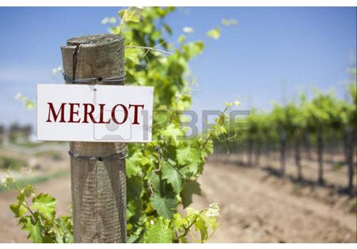 image of Merlot / Cabernet 
